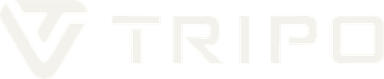 Tripo AI